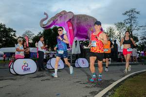 BIB: 
                            <button type="button" onclick="openModal(26529472)" class="btn btn-primary btn-sm float-right btn-popup" data-toggle="modal" data-target=".modal-high-quality">
                        <i class="fas fa-shopping-cart"></i> Add to Cart
                    </button>
                                            <button type="button" onclick="isThisMe(26529472, true)" class="btn btn-success btn-sm float-right btn-popup btn-isme hidden" data-toggle="tooltip" data-placement="bottom" title="นี่คือรูปของคุณใช่ไหม คลิกที่นี่เพื่อเอาเข้าอัลบั้ม">
                        <i class="fas fa-plus"></i> Add to album
                    </button>
                    <button type="button" onclick="isThisMe(26529472, false)" class="btn btn-warning btn-sm float-right btn-popup btn-isnotme hidden">
                        <i class="fas fa-ban"></i> Remove from album
                    </button>